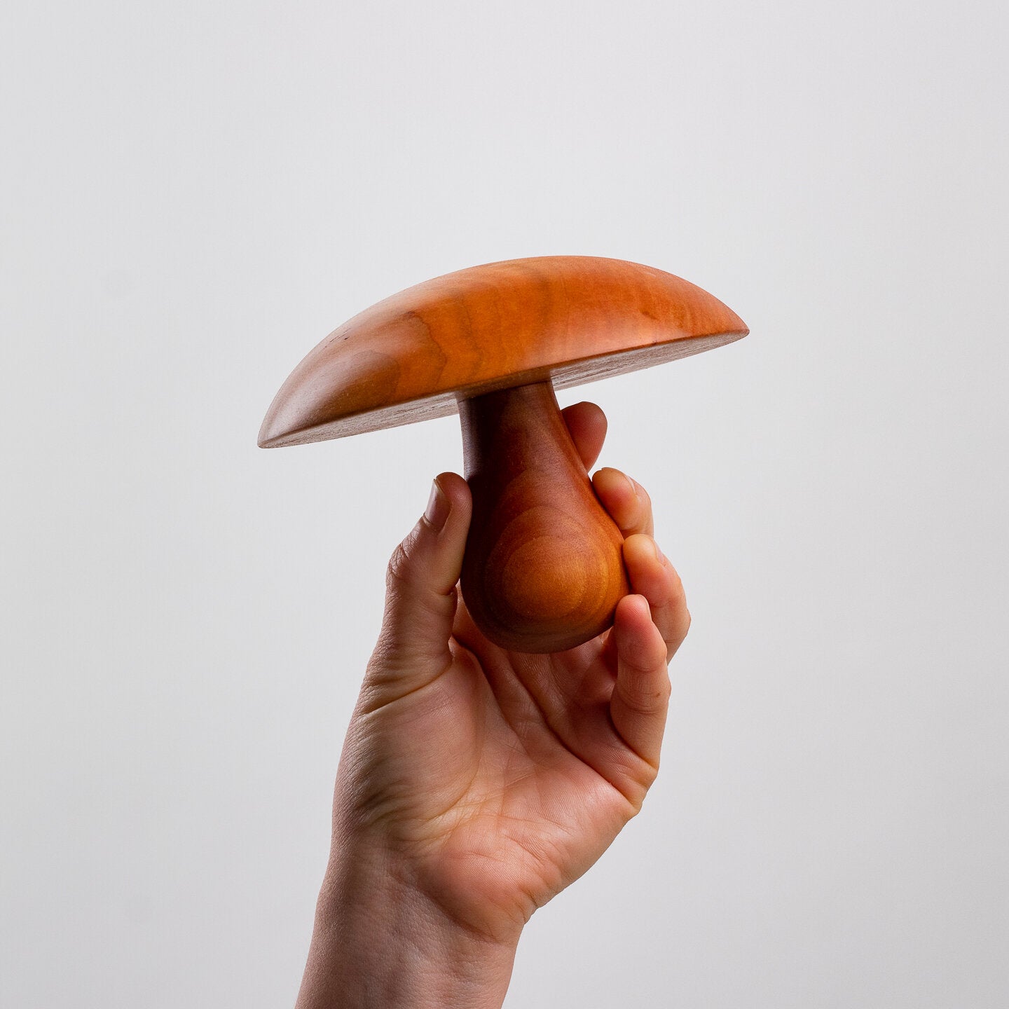 Mushroom Anvil Set